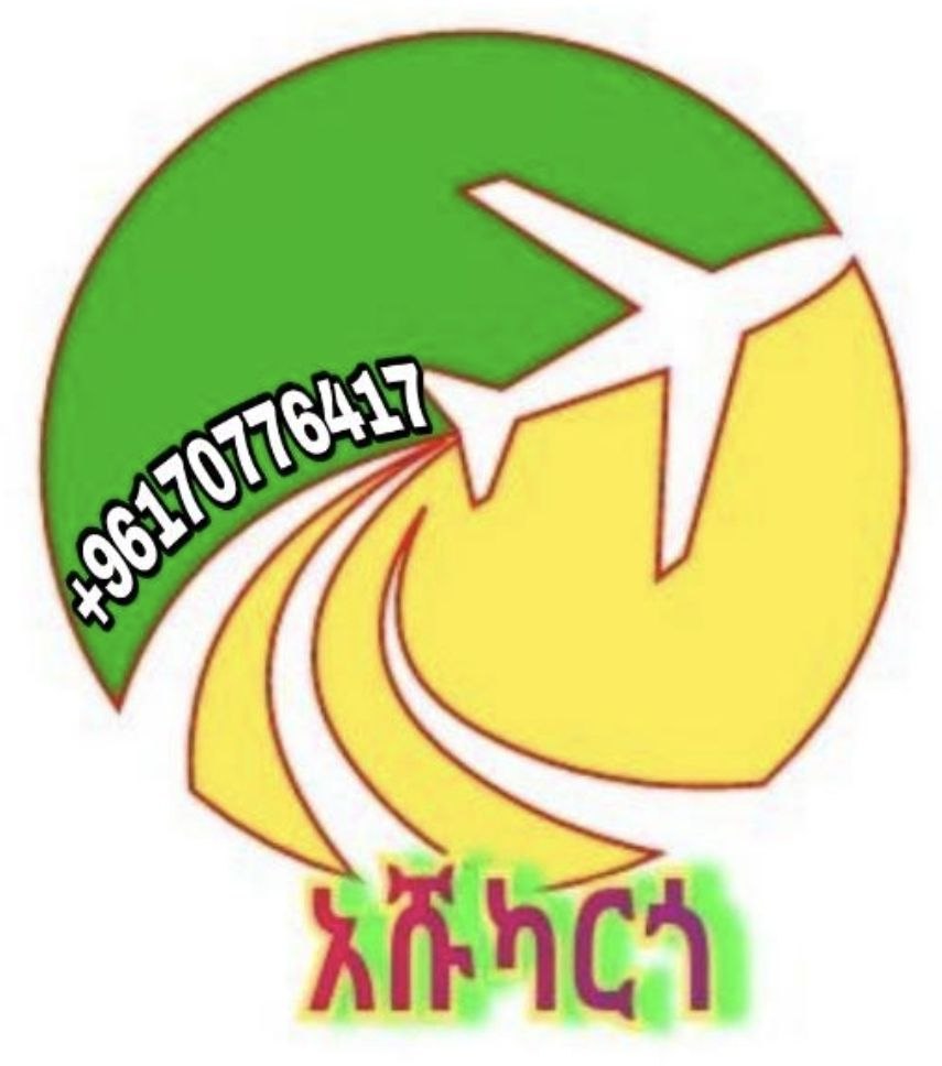 Ashu Cargo